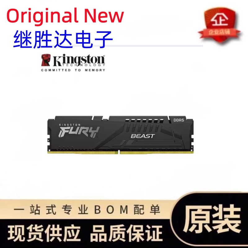 Kingston FURY Beast DDR5 Speic – Ddr5 16Gb 6000Mhz Bewertung und Preis