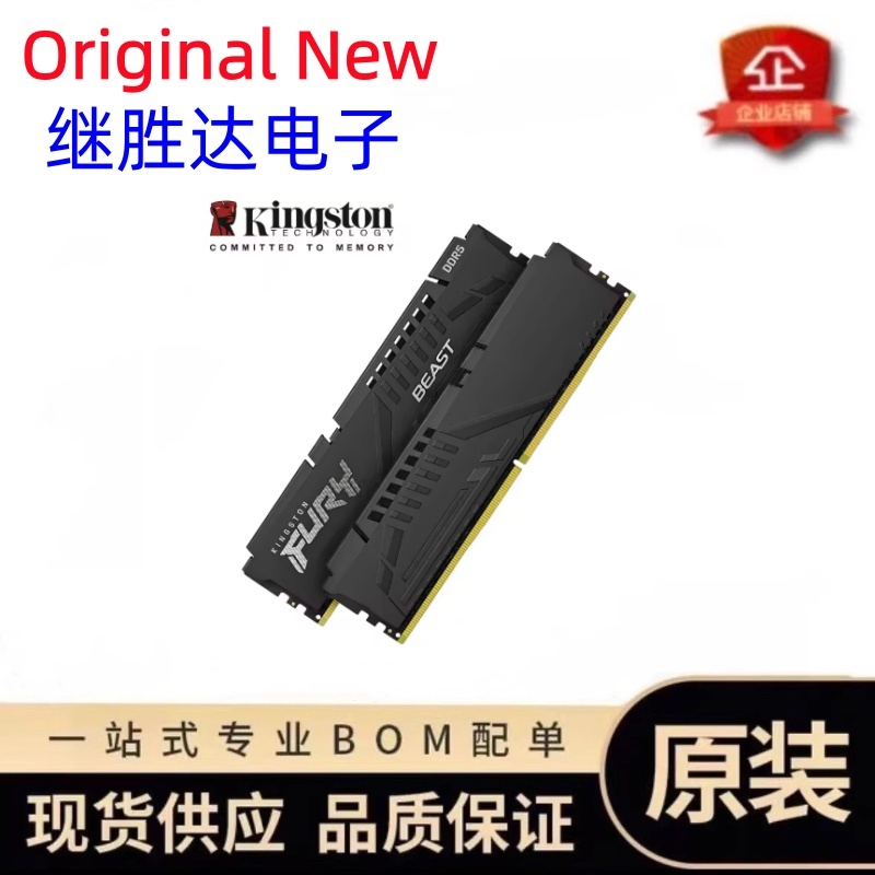 Kingston FURY Beast DDR5 Speic – Ddr5 16Gb 6000Mhz Bewertung und Preis